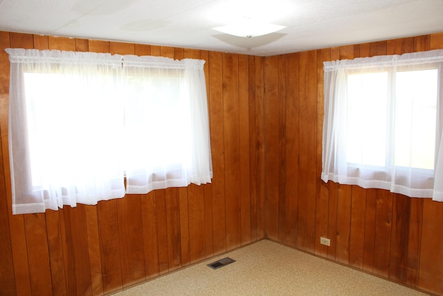 2786 Dinius Rd, Tecumseh, MI 49286 - spare room with plenty of natural light and wood walls