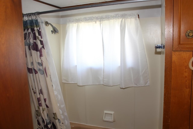 2786 Dinius Rd, Tecumseh, MI 49286 - view of full bathroom