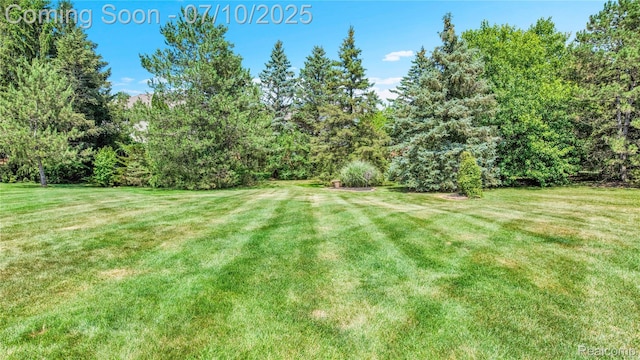 3230 Lynhurst Ct, Rochester, MI 48306 - view of green lawn