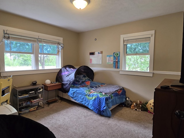 3330 Bradford St NE, Grand Rapids, MI 49525 - bedroom with carpet