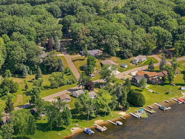 11560 Thrush Dr, Lakeview, MI 48850 - aerial view of property and surrounding area with a heavily wooded area and nearby suburban area