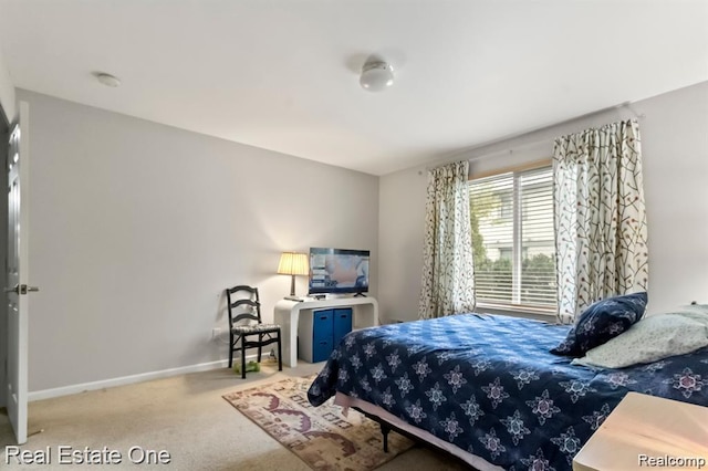 45089 Klingkammer St, Utica, MI 48317 - photo 19