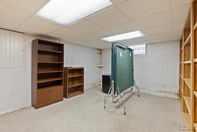 305 W Chicago Blvd, Tecumseh, MI 49286 - basement featuring a paneled ceiling, concrete block wall, and carpet