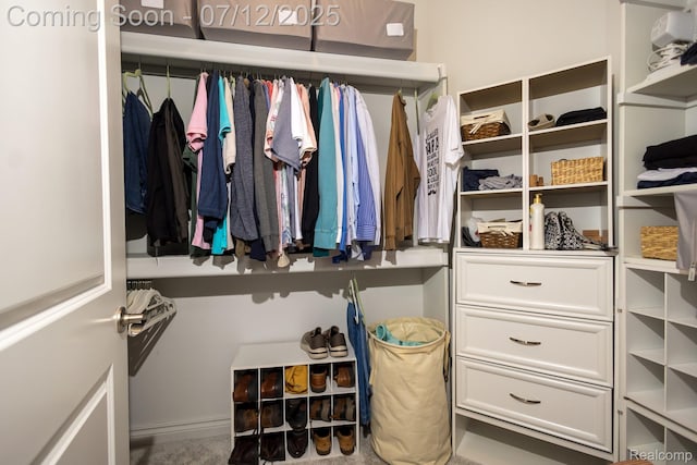1079 Hampshire Ct, Rochester, MI 48307 - view of spacious closet