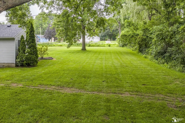 7768 Summerfield Rd, Lambertville, MI 48144 - view of grassy yard