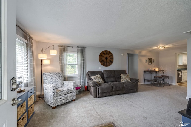 7768 Summerfield Rd, Lambertville, MI 48144 - living room featuring a textured ceiling and carpet flooring