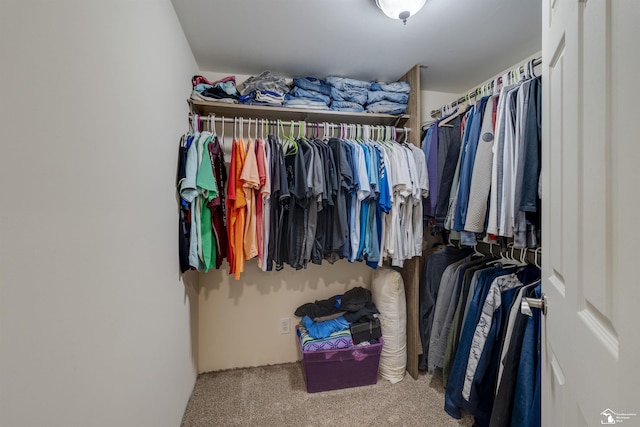 7768 Summerfield Rd, Lambertville, MI 48144 - walk in closet with carpet floors