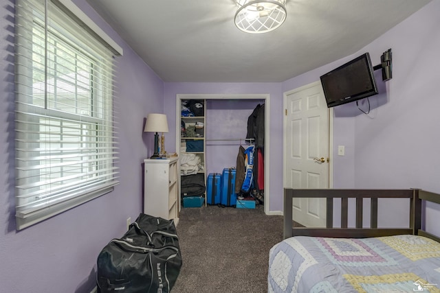 7768 Summerfield Rd, Lambertville, MI 48144 - bedroom with carpet flooring and a closet