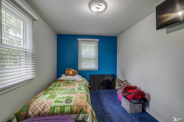 7768 Summerfield Rd, Lambertville, MI 48144 - carpeted bedroom with a textured ceiling