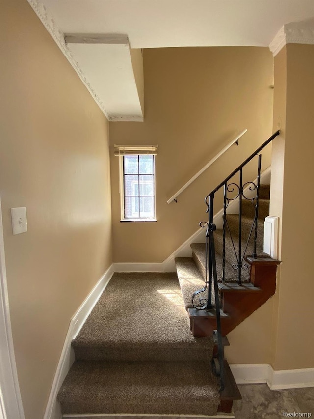 8063 Yolanda St, Detroit, MI 48234 - stairs with baseboards and carpet floors