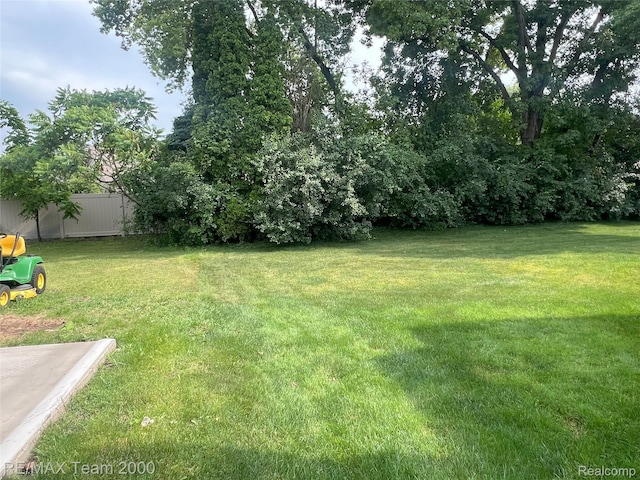 29203 Lake Park Dr, Farmington Hills, MI 48331 - view of yard