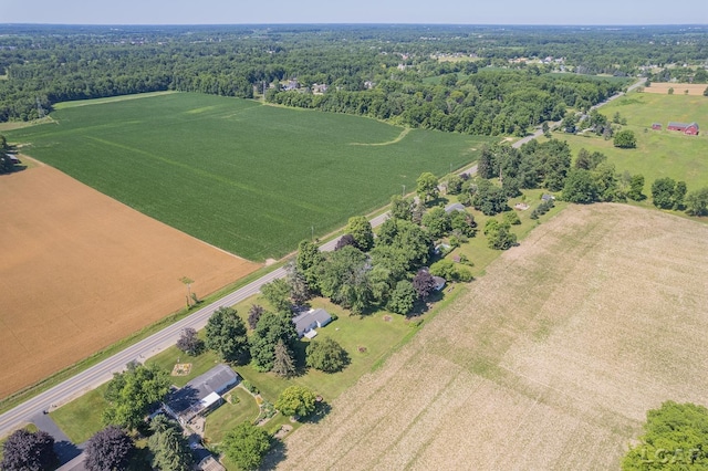 4100 Hunt Rd, Adrian, MI 49221 - aerial overview of property's location with rural landscape