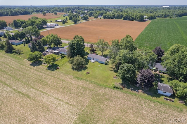 4100 Hunt Rd, Adrian, MI 49221 - view of rural area featuring extensive farmland