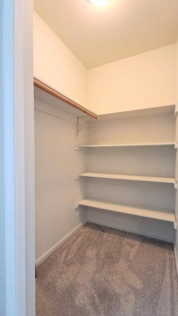 4763 Weston Ave, Kalamazoo, MI 49006 - walk in closet featuring carpet floors