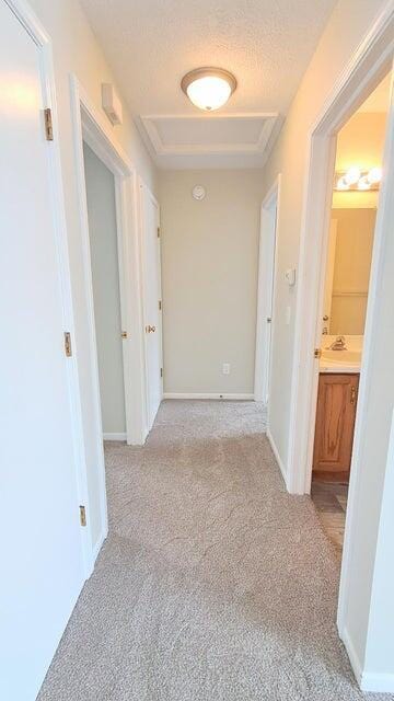 4763 Weston Ave, Kalamazoo, MI 49006 - hall featuring light carpet