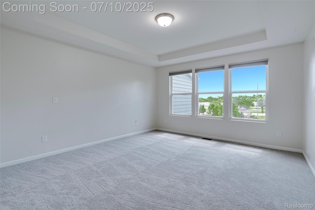43433 Chancellor Ln, Novi, MI 48375 - carpeted spare room featuring a raised ceiling and baseboards