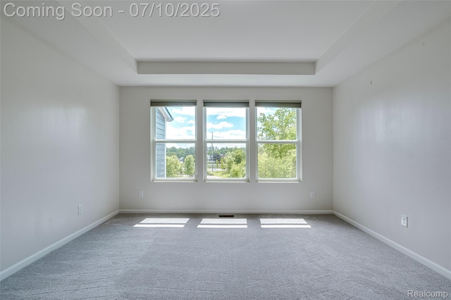 43433 Chancellor Ln, Novi, MI 48375 - carpeted spare room with a raised ceiling