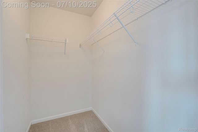 43433 Chancellor Ln, Novi, MI 48375 - walk in closet featuring carpet flooring