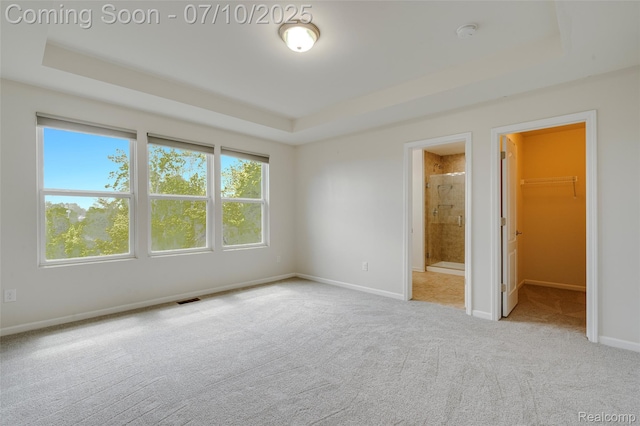 43433 Chancellor Ln, Novi, MI 48375 - unfurnished bedroom with a tray ceiling, carpet floors, a walk in closet, and connected bathroom