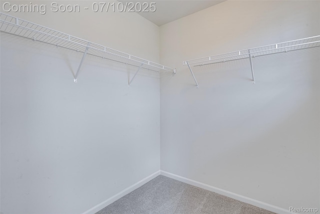 43433 Chancellor Ln, Novi, MI 48375 - spacious closet with carpet