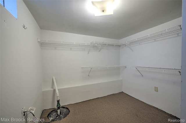 2233 Kohler St, Waterford, MI 48329 - walk in closet with carpet floors