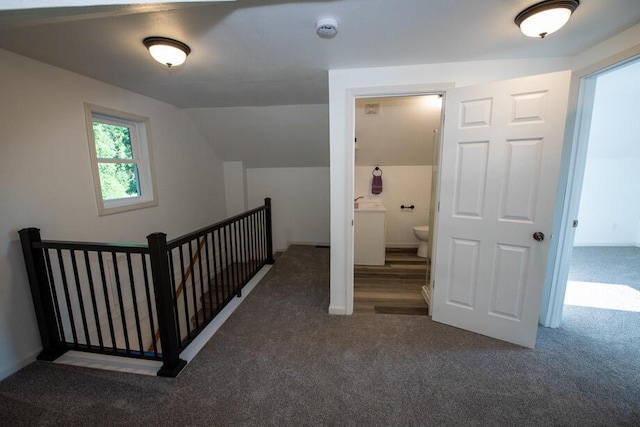 1120 8th St, Three Rivers, MI 49093 - bonus room featuring carpet floors and lofted ceiling