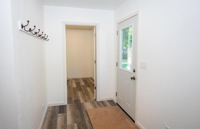 1120 8th St, Three Rivers, MI 49093 - doorway featuring wood finished floors and baseboards