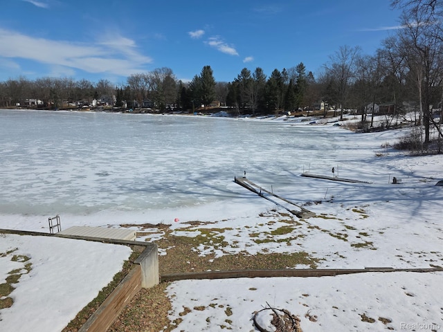 221 Bluegill Lake Dr, Frost, MI 48625 - water view featuring a tree filled landscape