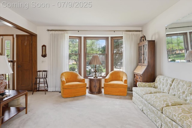 48721 W Normandy Ct, Plymouth, MI 48170 - carpeted living area featuring plenty of natural light