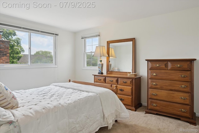 48721 W Normandy Ct, Plymouth, MI 48170 - bedroom featuring light colored carpet