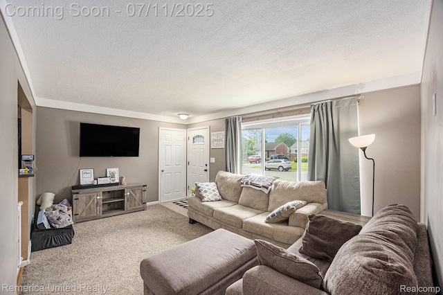 28640 Florence St, Northville, MI 48135 - living room with a textured ceiling and carpet floors
