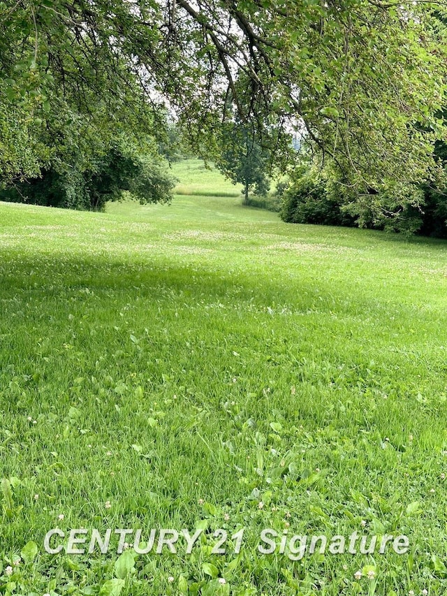 2410 Jossman Rd, Holly, MI 48442 - view of yard