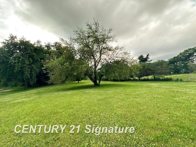 2410 Jossman Rd, Holly, MI 48442 - view of green lawn