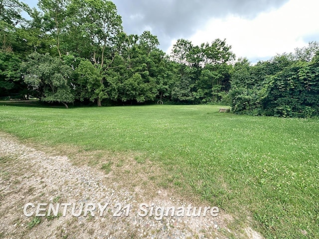 2410 Jossman Rd, Holly, MI 48442 - view of green lawn