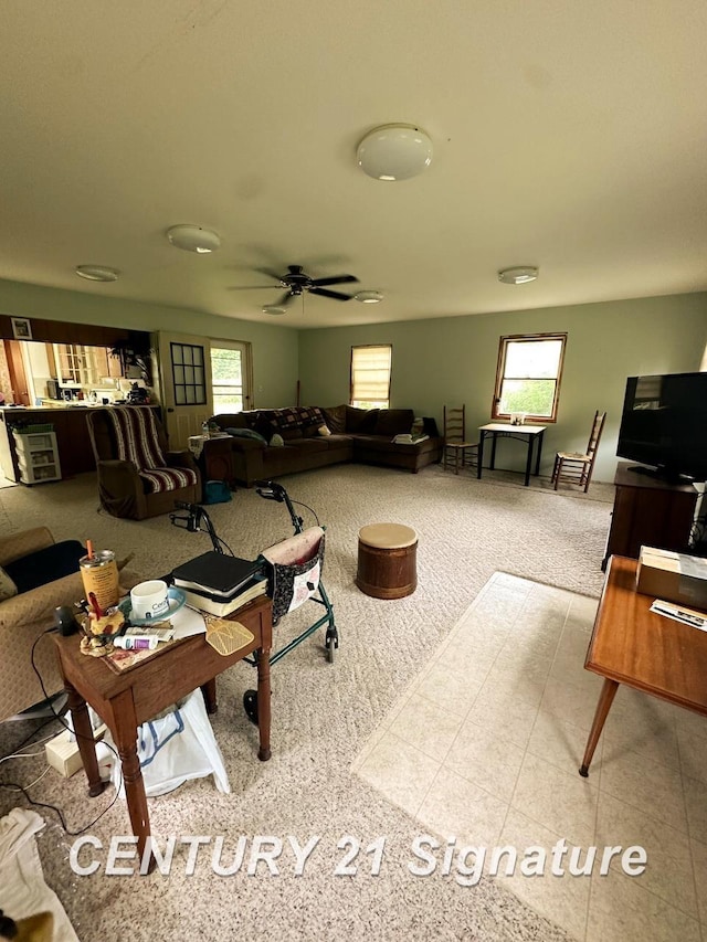 2410 Jossman Rd, Holly, MI 48442 - living area with plenty of natural light, carpet, and a ceiling fan