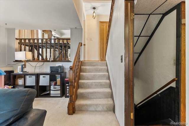 42109 Hartford Dr, Canton, MI 48187 - staircase with carpet floors