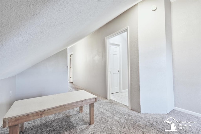 3380 Stewart Rd, Monroe, MI 48162 - bonus room featuring carpet flooring and a textured ceiling