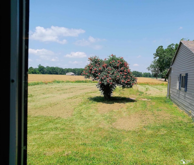 3380 Stewart Rd, Monroe, MI 48162 - view of grassy yard featuring a view of countryside
