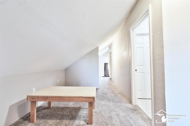3380 Stewart Rd, Monroe, MI 48162 - corridor featuring carpet floors and lofted ceiling