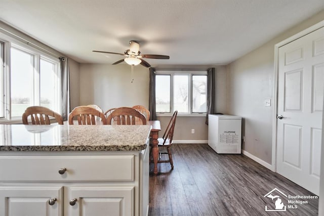 3380 Stewart Rd, Monroe, MI 48162 - dining area with plenty of natural light, ceiling fan, and dark wood-style flooring