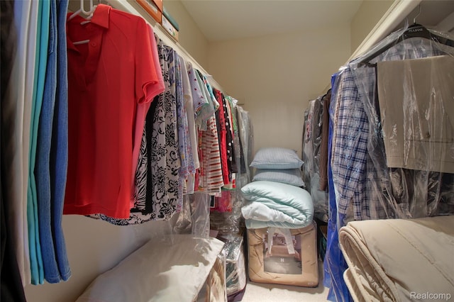 38188 Mallory Dr, Livonia, MI 48154 - view of spacious closet