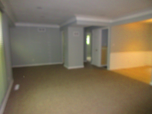3736 Maryland Ave, Flint, MI 48506 - view of carpeted empty room