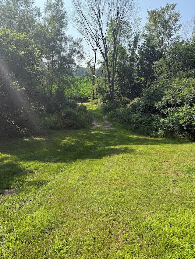 2581 Carpenter Rd, Lapeer, MI 48446 - photo 38