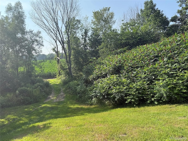 2581 Carpenter Rd, Lapeer, MI 48446 - photo 42