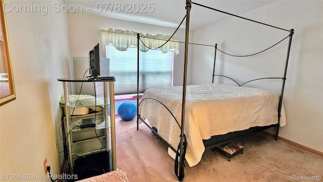 20059 Rodeo Ct, Southfield, MI 48075 - bedroom featuring carpet floors and baseboards