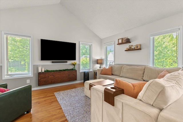 2345 Austin Dr, Novi, MI 48377 - photo 10