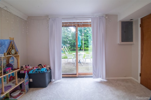 21102 Knudsen Dr, Grosse Ile, MI 48138 - game room with electric panel and carpet flooring
