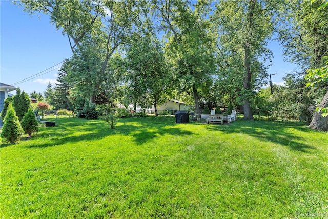 6917 Belton St, Garden City, MI 48135 - view of green lawn