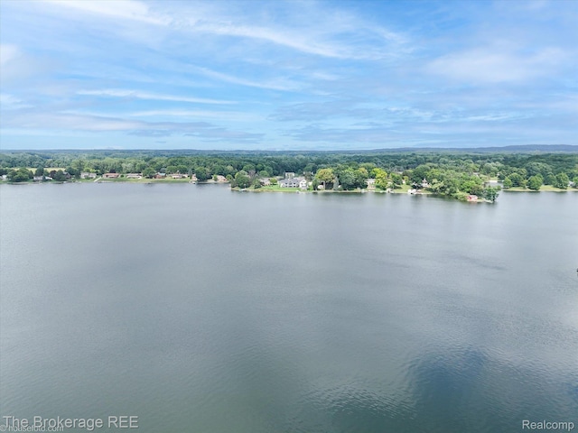 9471 Ridge Rd, Goodrich, MI 48438 - photo 13