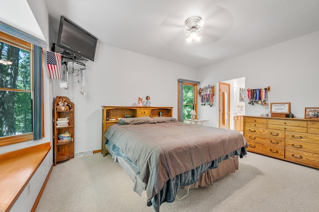 8361 9 Mile Rd, Big Rapids, MI 49307 - bedroom featuring carpet flooring, multiple windows, and connected bathroom